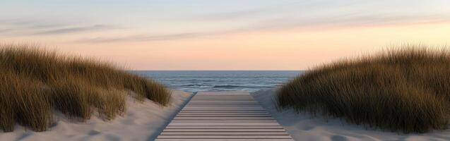 Tranquil pathway to the serene ocean at sunset photo