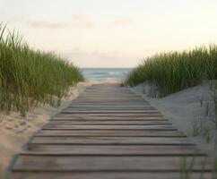 Serene wooden pathway through beach grass leading to ocean photo