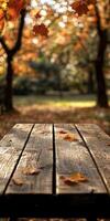 Wooden table surrounded by autumn foliage in a park photo