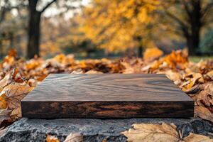 Wooden surface resting on autumn leaves in a tranquil park photo