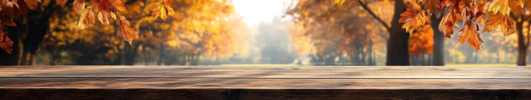 Beautiful autumn landscape with vibrant foliage in park photo