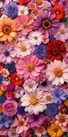 Colorful flower arrangement showcasing various blossoms in spring photo