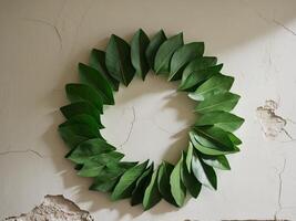 Bay leaves arranged in a circle on plaster wall background. photo