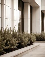 Foundation plantings frame building bases near entrances photo