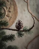 Pine Cone on Evergreen Branch with Textured Background photo