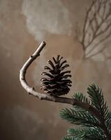 Pine Cone on Evergreen Branch with Textured Background photo