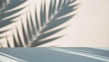 Minimal Abstract Background with Blurred Palm Leaf Shadows on Light Blue Surface. photo