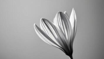 capture a close up of a flower or leaf showcasing the intricate. photo