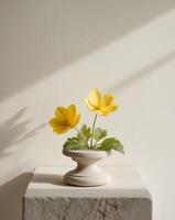 Bright yellow flower with green leaves showcased on a stone in a serene indoor setting photo