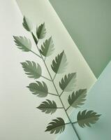 design with paper cutouts of Light Green Abstract Background Arranged Leaves in Diagonal photo
