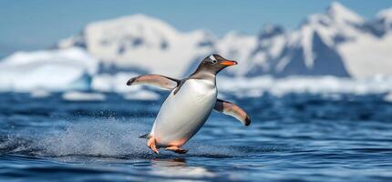 A penguin leaps across the water with snowy mountains in the background. photo