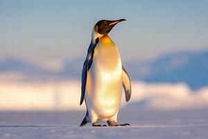 A solitary emperor penguin stands on ice against a blurred background. photo