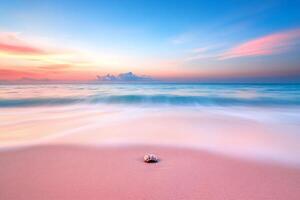 Serene beach at sunset with a shell on soft sand and gentle waves. photo