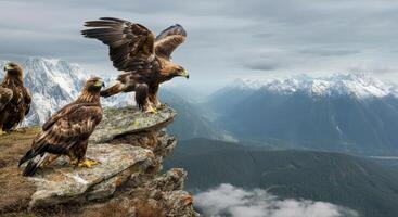 Majestic eagles on mountain ridge overlooking vast alpine valley under cloudy skies photo