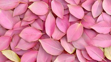 Pink fabric with a shiny surface photo