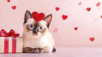 A cat is laying on a table with a red heart on its head photo