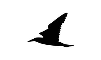Flying Boobie Bird Black Silhouette vector