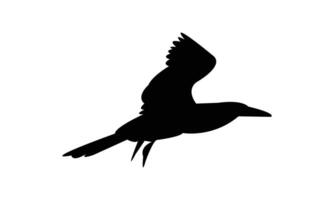 Flying Boobie Black Silhouette Design vector
