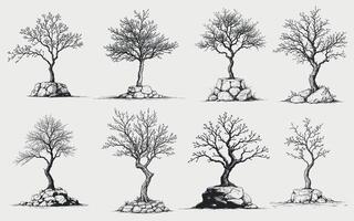 Elegant Minimal Tree Sketches on Stone Bases for Design Collection vector