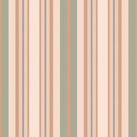 Vertical lines stripe pattern. stripes background fabric texture. Geometric striped line seamless abstract design. vector