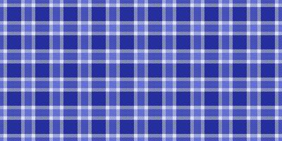 Goose pattern fabric plaid, summertime textile texture . Quality tartan seamless background check in blue and light colors. vector