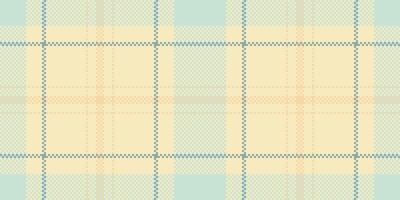 Handmade tartan seamless check, usa plaid background textile. Indoor pattern texture fabric in light and amber colors. vector