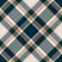 Plaid pattern . Check fabric texture. Seamless textile design for clothes, paper print. vector