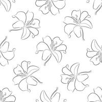Seamless pattern with lily flower outline. Decorative line art graphics. Floral design sketch drawing of black and white color on isolated background. vector
