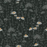 Seamless pattern with hand drawn chamomile, valerian and thyme plants on dark background. Wild medical plant design for fabric, home textile, wrapping paper, gift paper vector