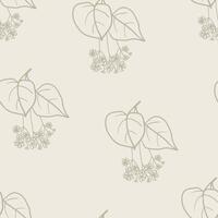 Hand drawn linden flowers seamless pattern. Simple plant design for fabric, textile, wrapping paper, gift paper vector