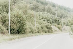 Empty Road Through a Hillside of Foliage photo
