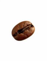 Coffee bean rests on a light background, showcasing its texture and natural shine for coffee enthusiasts and roasters photo
