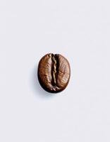 Coffee bean close-up showing rich texture and natural sheen captured against a minimalist background photo