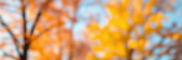 Colorful autumn leaves fill the landscape with vibrant hues of yellow and orange in a serene natural setting photo
