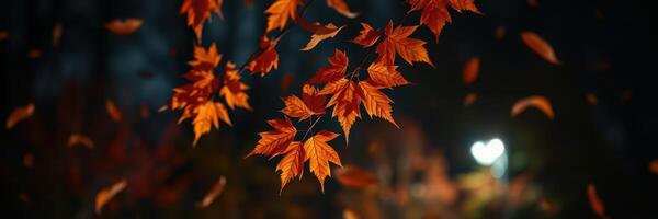 Falling autumn leaves illuminated by warm street lights in a tranquil evening setting photo