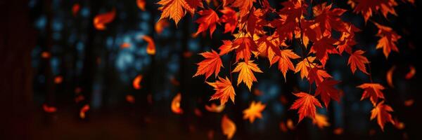 Vibrant autumn leaves gracefully falling in a serene forest setting during late afternoon sunlight photo