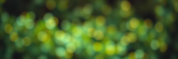 Colorful bokeh lights create a magical atmosphere in a garden at dusk with vibrant greenery surrounding the blurred view photo