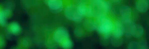 Green bokeh effect creates a dreamy atmosphere in a forested area during daylight hours photo
