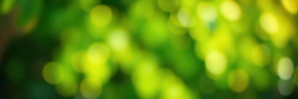 Soft green bokeh effect created by sunlight filtering through foliage in a tranquil outdoor setting photo
