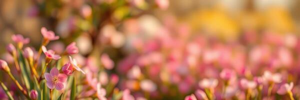 Colorful flowers flourish in a sunlit garden showcasing spring's beauty and vibrancy photo