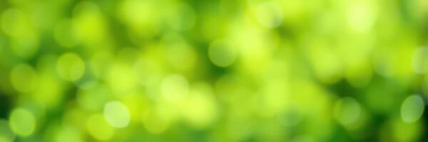 Soft green bokeh background with light reflections creating a serene and calming atmosphere in nature photo