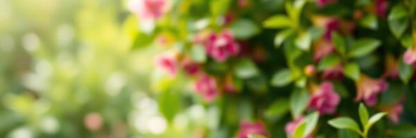 Colorful pink flowers bloom amidst lush green foliage in a serene garden setting during springtime photo