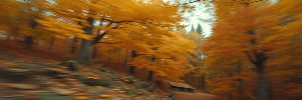 Colorful autumn forest with golden leaves and a rustic cabin along a serene pathway photo