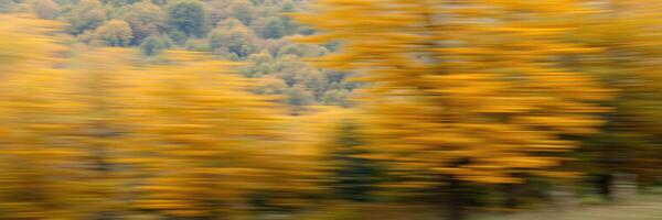 Vibrant autumn foliage creates a picturesque landscape with blurred yellow trees in motion photo