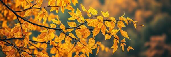 Vibrant autumn leaves glisten under soft sunlight in a forest setting during the fall season photo