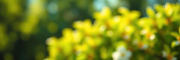 Close-up of bright green leaves reflecting sunlight in a serene outdoor setting during a sunny afternoon photo