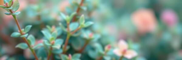 Close-up view of lush green leaves and delicate blossoms in a natural setting during springtime photo