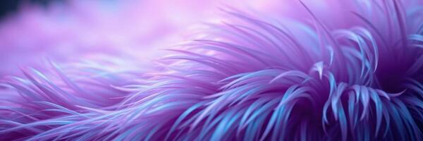 Vibrant purple and blue furry texture fills the frame with intricate details highlighting softness and richness at dusk photo