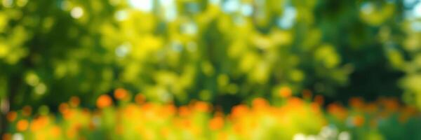 Vibrant garden blooms create an enchanting atmosphere during the afternoon in a lush outdoor setting photo