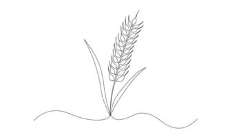 Wheat one continuous line illustration. Hand drawn doodle sketch of barley grain vector